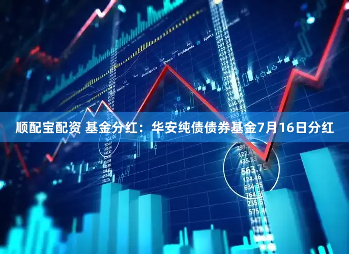 顺配宝配资 基金分红：华安纯债债券基金7月16日分红